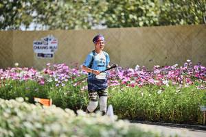 BIB: 
                            <button type="button" onclick="openModal(27794534)" class="btn btn-primary btn-sm float-right btn-popup" data-toggle="modal" data-target=".modal-high-quality">
                        <i class="fas fa-shopping-cart"></i> Add to Cart
                    </button>
                                            <button type="button" onclick="isThisMe(27794534, true)" class="btn btn-success btn-sm float-right btn-popup btn-isme hidden" data-toggle="tooltip" data-placement="bottom" title="นี่คือรูปของคุณใช่ไหม คลิกที่นี่เพื่อเอาเข้าอัลบั้ม">
                        <i class="fas fa-plus"></i> Add to album
                    </button>
                    <button type="button" onclick="isThisMe(27794534, false)" class="btn btn-warning btn-sm float-right btn-popup btn-isnotme hidden">
                        <i class="fas fa-ban"></i> Remove from album
                    </button>